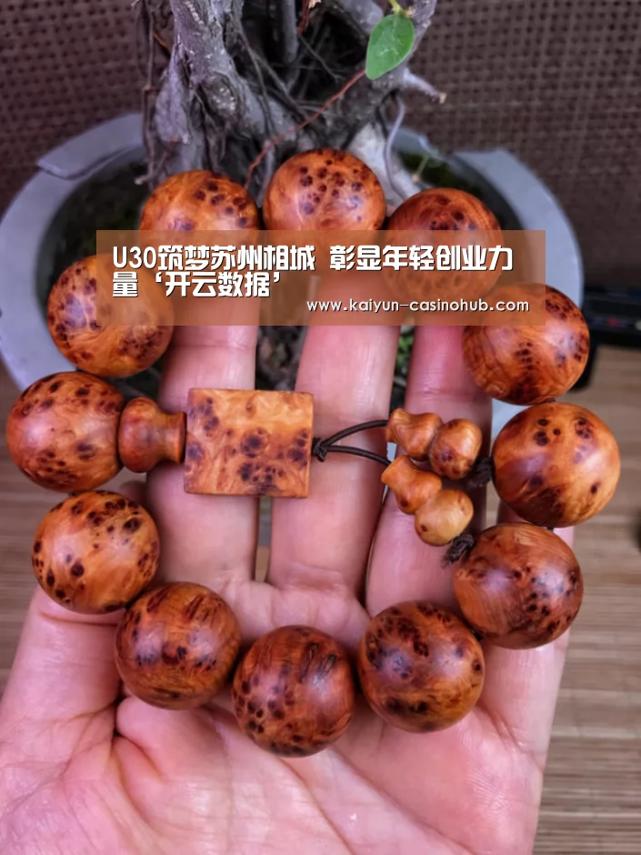 U30筑梦苏州相城 彰显年轻创业力量‘开云数据’(图4) 开云平台